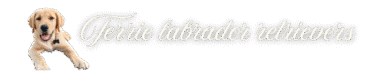 Terrie Labrador Retrievers.